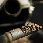Sneeuberg Coffee